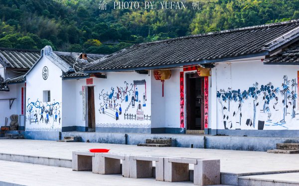 畲族主要分布在什么地方