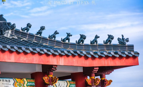 畲族主要分布在什么地方