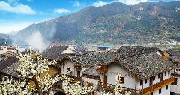 薛岳传简历和晚年结局