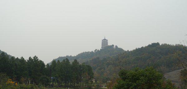 安徽省面积最大的市是哪个市