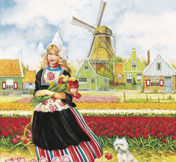 尼德兰是哪个国家发达吗