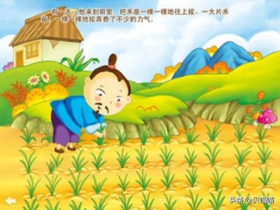 寓言故事拔苗助长的道理 读完揠苗助长有什么启发