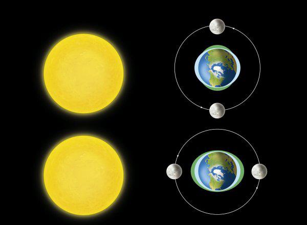 日历上怎么分清楚阴历阳历