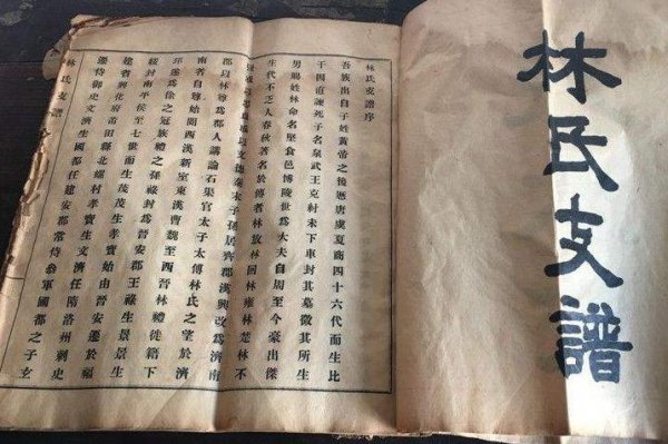 林氏家族的祖先是谁