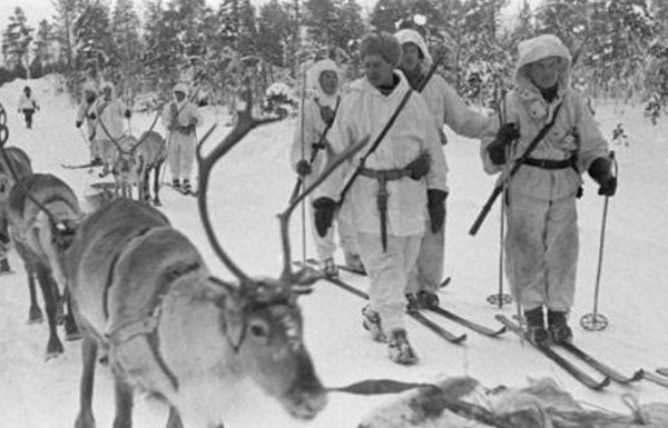 苏芬战争苏联为什么损失惨重