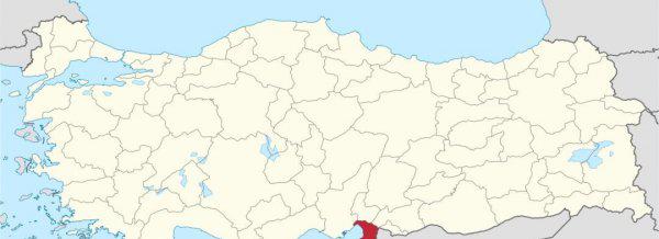 叙利亚是哪个洲的国家