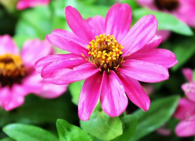 伤了水瓶座男生的心怎么挽回 安慰挽回水瓶座男生的心