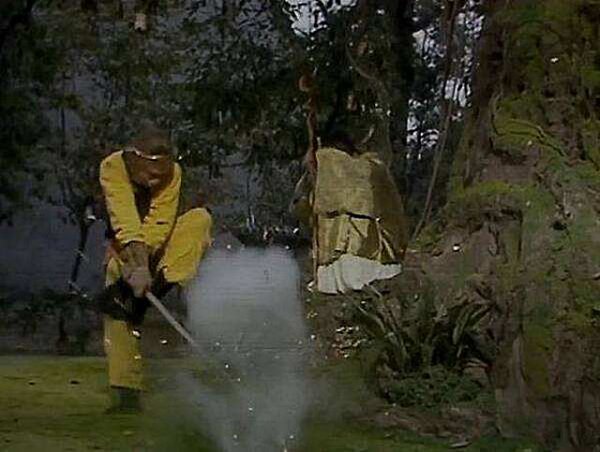 孙悟空偷吃人参果的故事