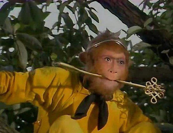 孙悟空偷吃人参果的故事