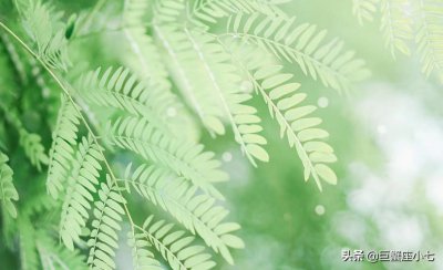 唯一能镇住射手女的星座男 能征服搞定射手的三个星座