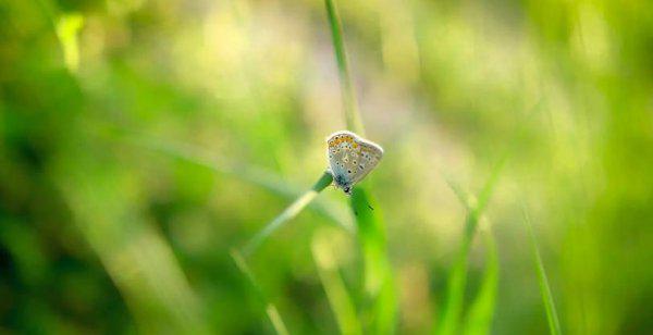 唯一能镇住射手女的星座男