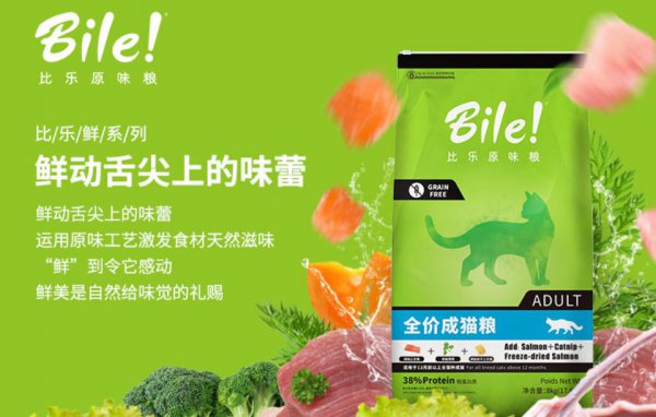 十大放心猫粮国产排行榜