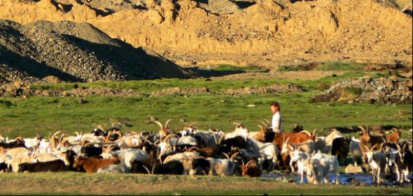 蒙古国可能合并到我国吗