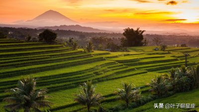 双鱼座和天蝎座配吗 天蝎为什么被双鱼座迷得死死的