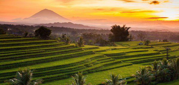 双鱼座和天蝎座配吗