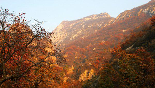 重庆大学考研难度很大吗