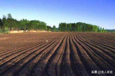 1英亩等于多少亩 1英亩等于多大面积 怎么换算