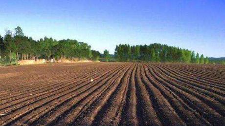 1英亩等于多少亩