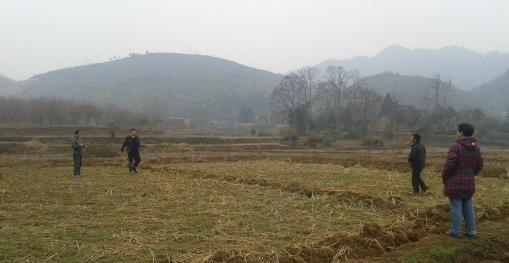 1英亩等于多少亩