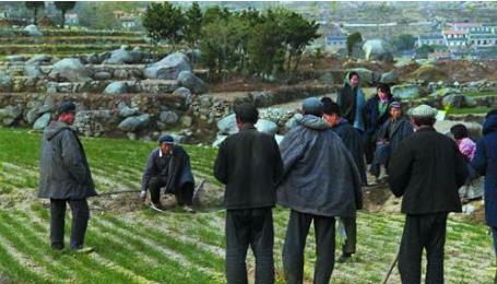 1英亩等于多少亩