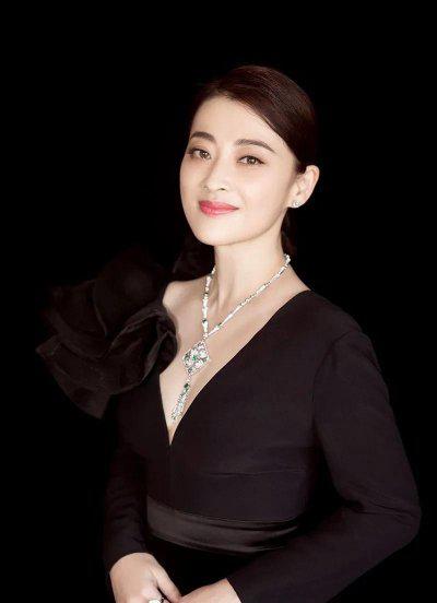 梅婷现任70岁老公曾剑个人资料