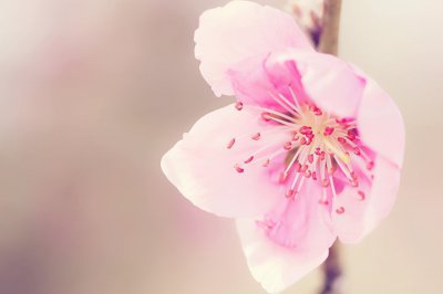 高情商女人问男人的问题 情商高女人用提问方式对待感情