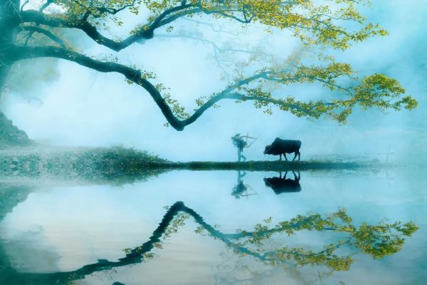 古代最美的十首田园诗