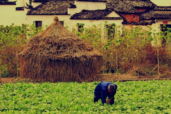 古代最美的十首田园诗