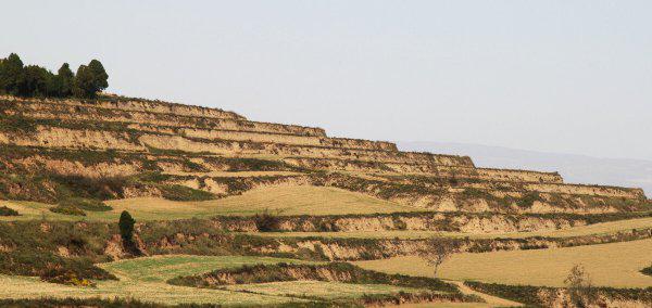 武则天是什么地方人士