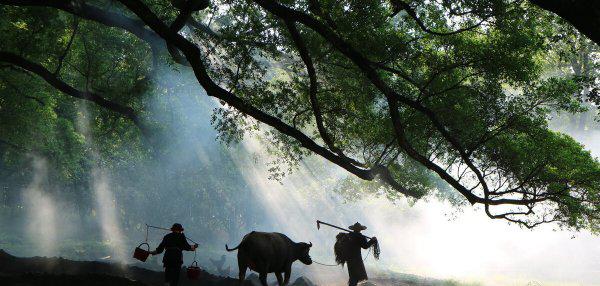 陶渊明的性格特点及分析