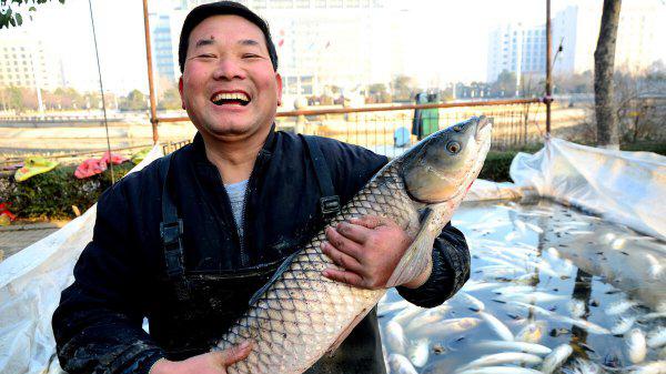 养什么鱼赚钱利润高