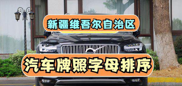 新疆各地车牌字母识别