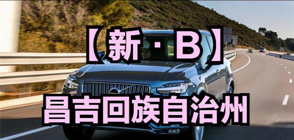 新疆各地车牌字母识别