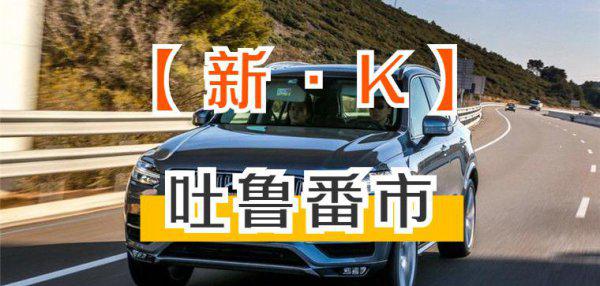 新疆各地车牌字母识别