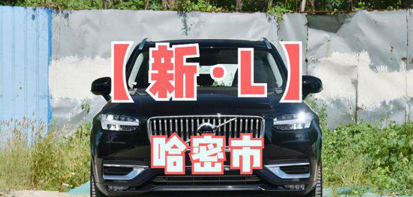 新疆各地车牌字母识别