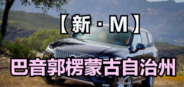 新疆各地车牌字母识别