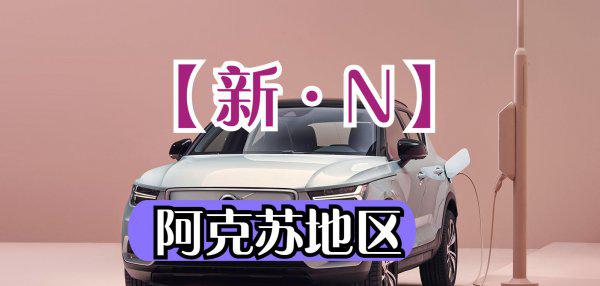 新疆各地车牌字母识别