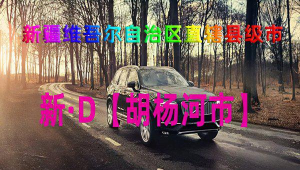 新疆各地车牌字母识别