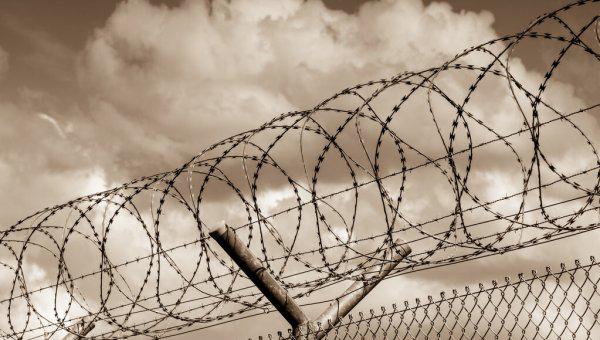 王林大师是怎么回事