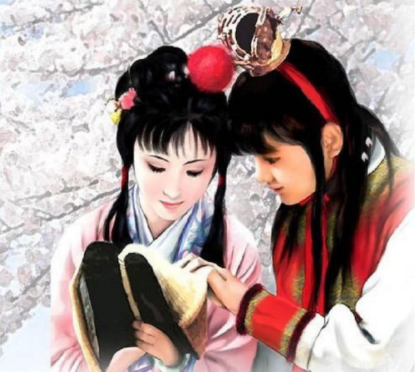 红楼梦贾宝玉的简介