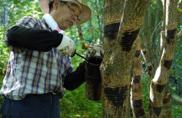 活人木乃伊有多痛苦