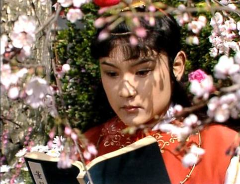 黛玉葬花是第几回