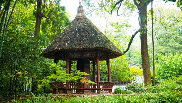 杜甫的妻子个人生平经历简介