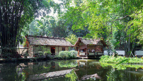 杜甫的妻子个人生平经历简介