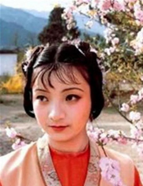 薛宝钗的丫鬟叫什么名字