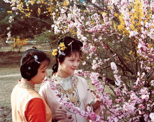 薛宝钗的丫鬟叫什么名字