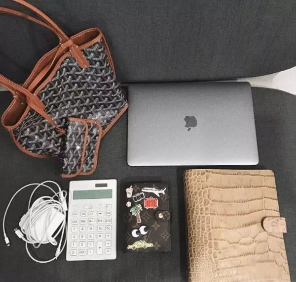 goyard是什么牌子的包