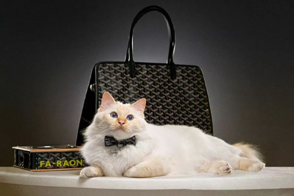 goyard是什么牌子的包