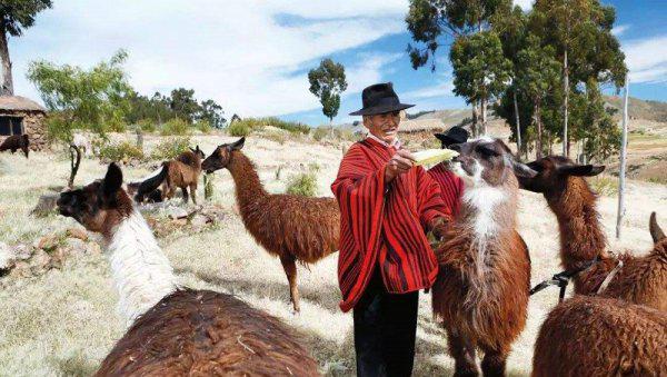 玻利维亚是哪个洲的国家