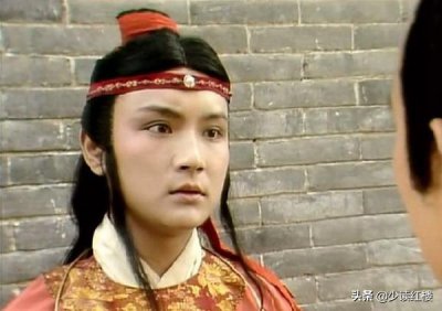 贾宝玉的故事简单概括 红楼梦贾宝玉人物形象分析及情节